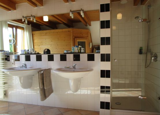 großzügiges Badezimmer mit Dusche, Wanne, WC und Sauna